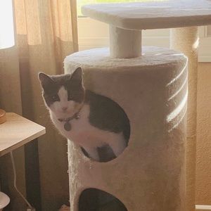 Meet your Posher, Kim